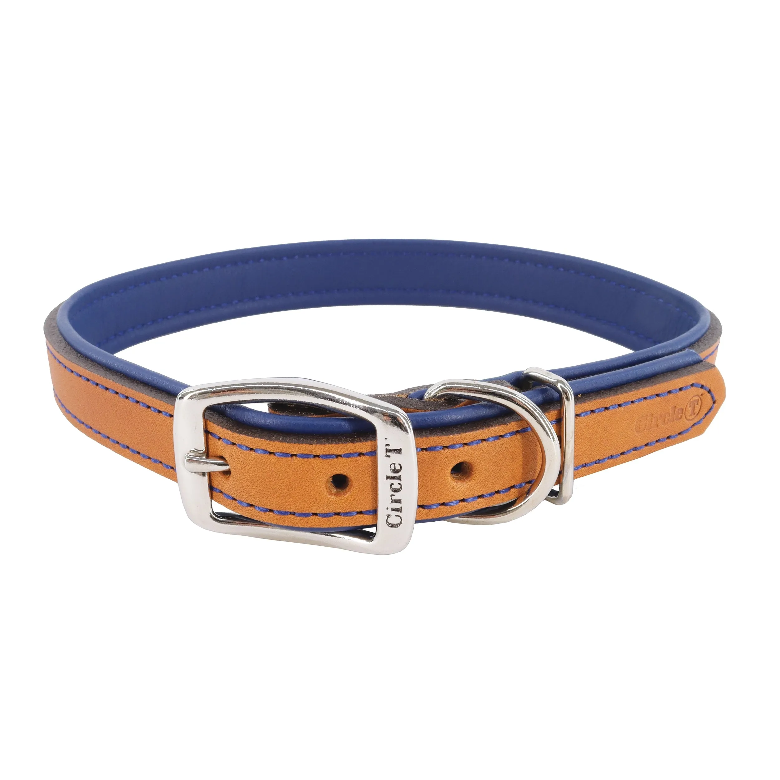 Circle T Layered Fashion Leather Dog Collar, Medium